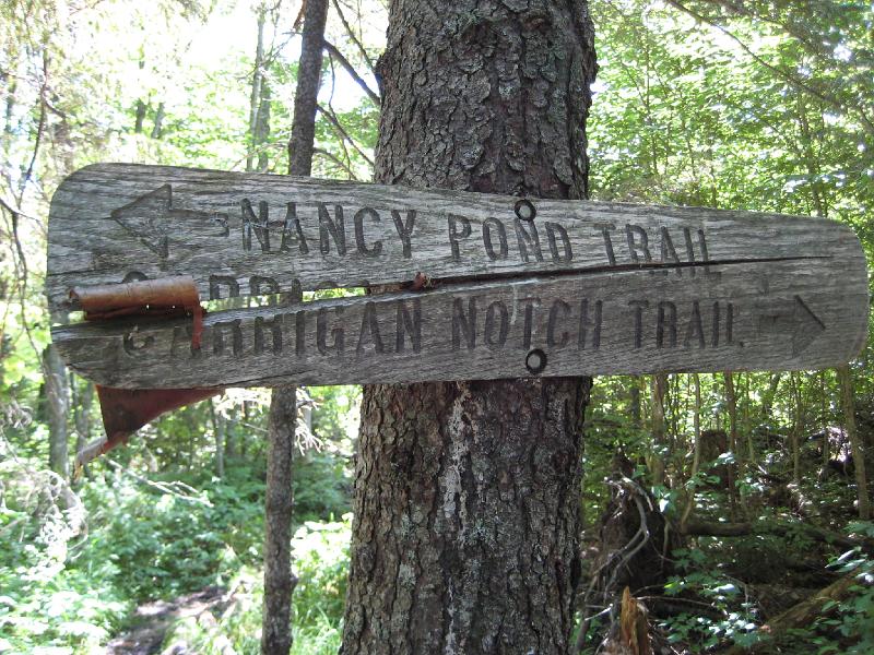PemiTraverse (9).JPG - Another trail intersection deep in the woods.